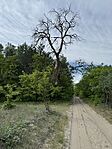 IMG_9070