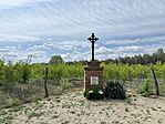 IMG_9073