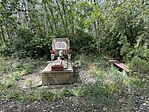 IMG_9104