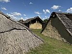 IMG_9161