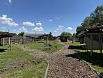 IMG_9154