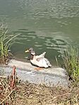 IMG_20250624_163504