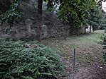 PXL_20250619_190205974