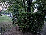 PXL_20250619_190210620