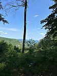 IMG_8757