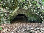 IMG_8819