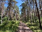 IMG_8845