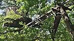 IMG_20250607_110909