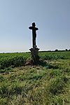 IMG_20250614_084227