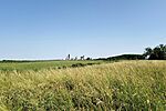 IMG_20250614_090859