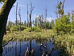 IMG_20250601_105521