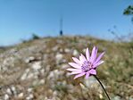 IMG_20250620_135600