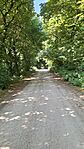 20250622_092924