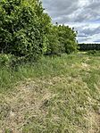 IMG_8716