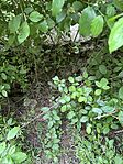 IMG_8713
