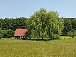 Jámborka-pihenő
