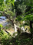 IMG_20250623_153139