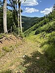 IMG_0936