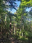 IMG_20250531_095000