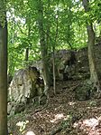 IMG_20250531_135101