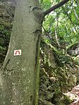 IMG_20250531_141206