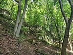 IMG_20250531_141318
