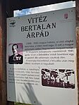 IMG_20250531_145309
