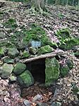 IMG_20250525_151244