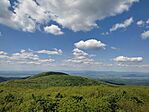 IMG_20250525_140434