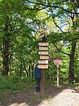 IMG_20250525_135836