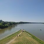 IMG_20250614_112252