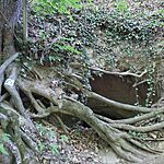 IMG_20250621_174155