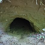 IMG_20250621_174202