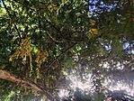 IMG_20250608_153908