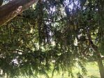 IMG_20250608_153915