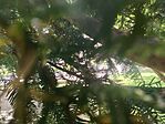 IMG_20250608_153918