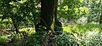 IMG_20250622_171423