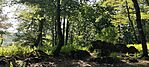 IMG_20250622_171617