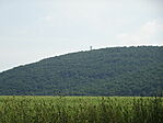 DSC00344