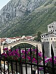 IMG_5385