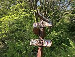 IMG_0507(1)