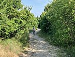 IMG_0508(1)