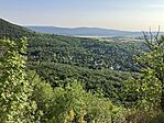 IMG_0517(1)