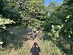 IMG_0519(1)