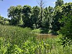 IMG_0629(1)