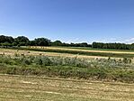 IMG_0681(1)