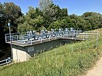 IMG_0695(1)