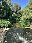 IMG_0698(1)