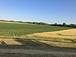 IMG_0724(1)