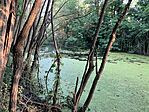 IMG_0731